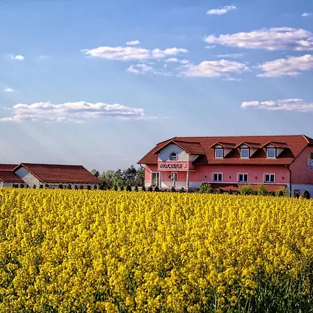 Frühstückspension Biala Roza 3*