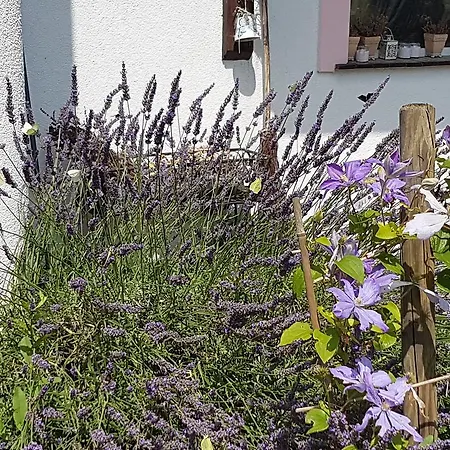 Biala Roza Frühstückspension Boleslawiec (Lower Silesia)