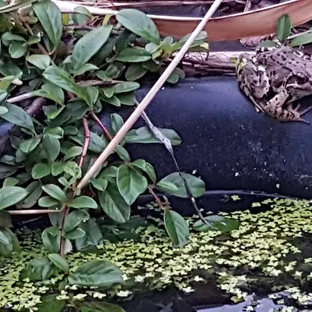 Frühstückspension Biala Roza 3*