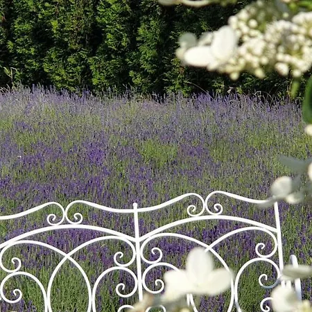Biala Roza Bed & Breakfast Boleslawiec (Lower Silesia)