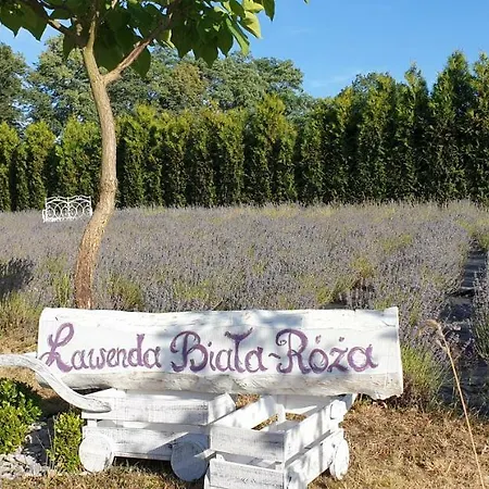 Biala Roza 3* Boleslawiec (Lower Silesia)