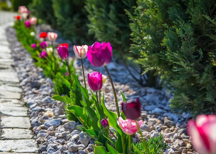 Biala Roza Boleslawiec (Lower Silesia)