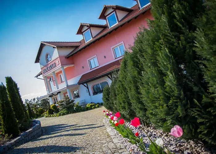 Bed & Breakfast Biala Roza