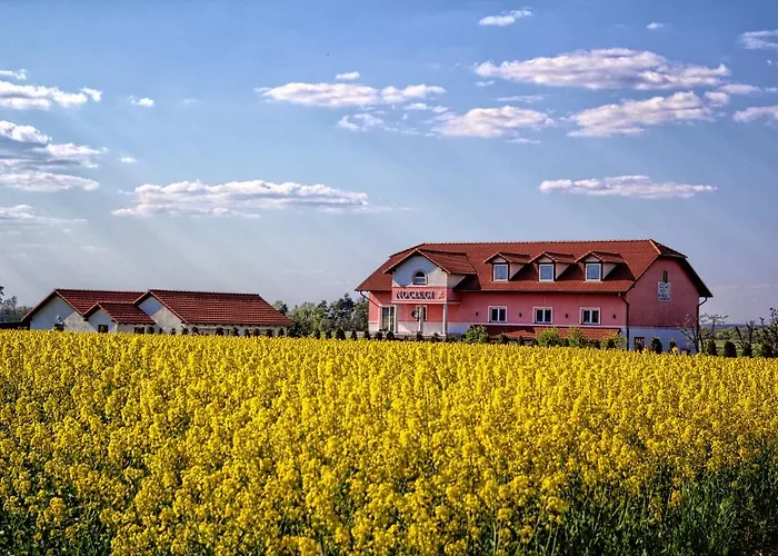 Bed & Breakfast Biala Roza 3*