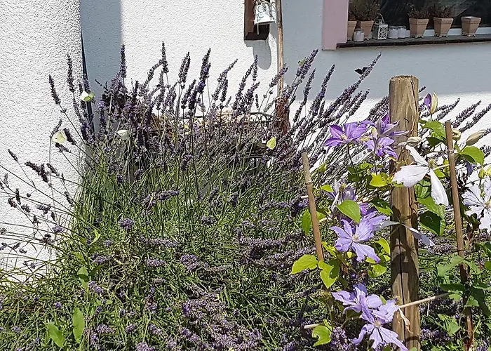 Biala Roza Bed & Breakfast Boleslawiec (Lower Silesia)