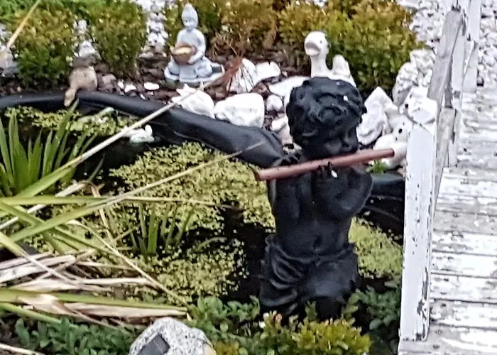 Bed & Breakfast Biala Roza 3*