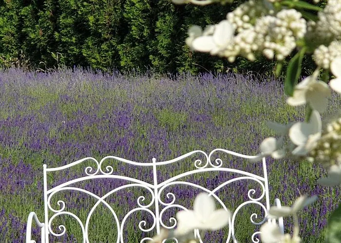 Biala Roza Bed & Breakfast Boleslawiec (Lower Silesia)