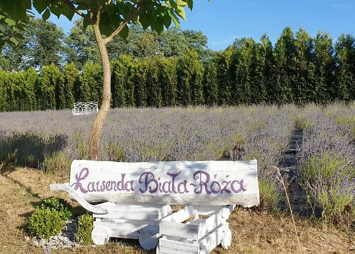 Biala Roza 3* Boleslawiec (Lower Silesia)