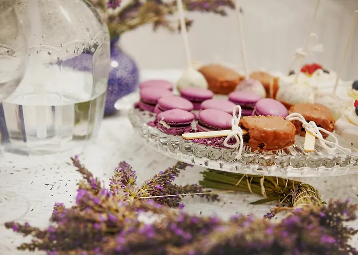 Bed & Breakfast Biala Roza